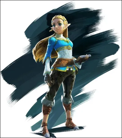 Durant 100 ans, que fait la princesse Zelda ?