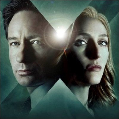 « X-Files » : qui est Walter Skinner dans la série ?