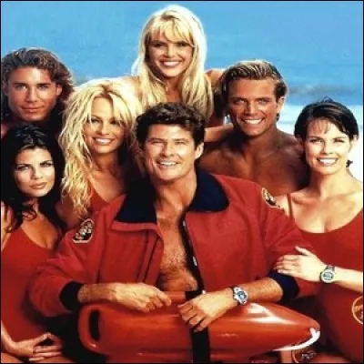 « Alerte à Malibu » : qui est Hobie ?