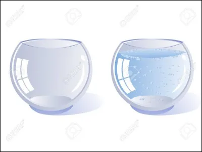 Peux-tu vider ce _____.