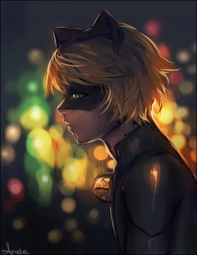 Qui est Chat Noir ?