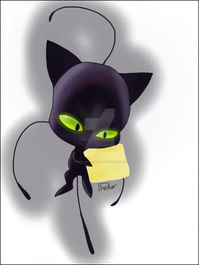 Chat Noir aime manger...