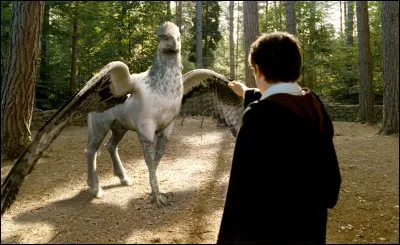 Quel animal de Hagrid a failli mourir, mais a &eacute;t&eacute; sauv&eacute; par Harry et Hermione ?