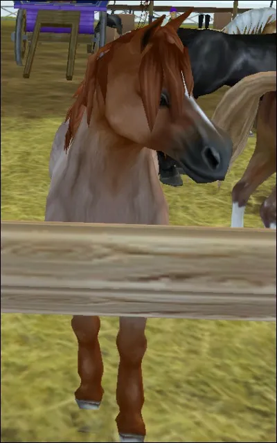 Quelle est celle-ci ?