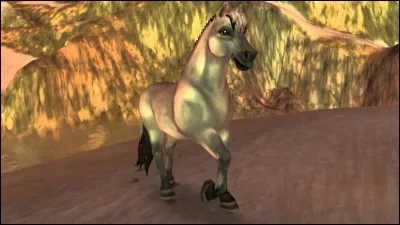 Quelle est cette race de poney ?
