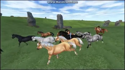 Sont-ce des chevaux, des double-poneys ou des poneys ?