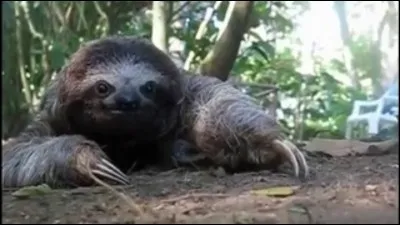 Le moins que l'on puisse dire, c'est que je prends mon temps, alors quand il arrive, j'ai intérêt à rester immobile !