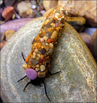 Même dans ma gaine de bois ou de pierre, je dois faire attention à la ...