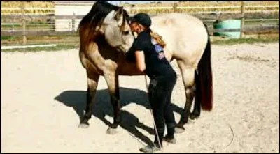 Le cheval ressent-il les émotions de son propriétaire ?