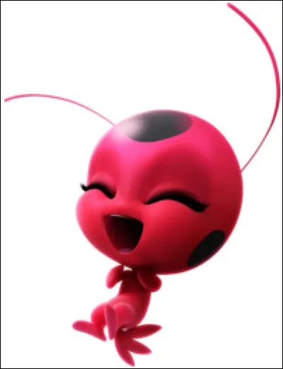 Où habite le Kwami de Ladybug ?