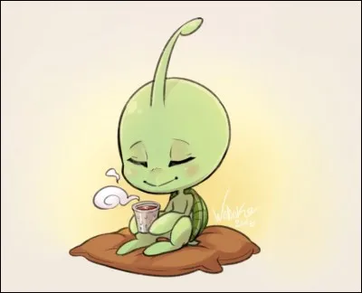 Comment se nomme le Kwami sur le thème de la tortue ?