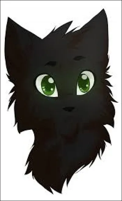 Tu dois choisir un nouveaux lieutenant.