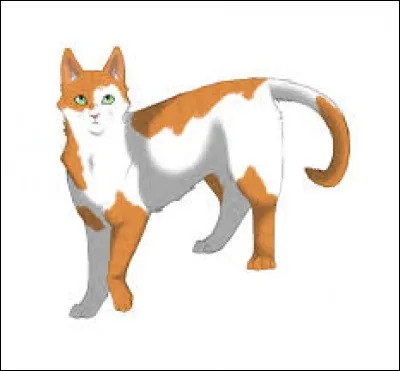 Tu pr&eacute;f&egrave;res...