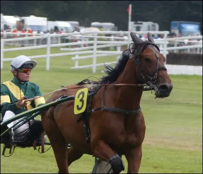 Quelle est celle-là ?