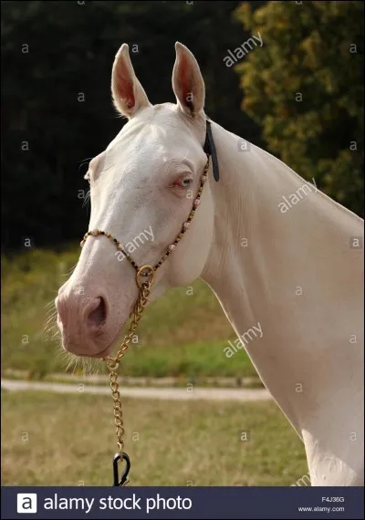 Qu'en est-il de celle-ci ?