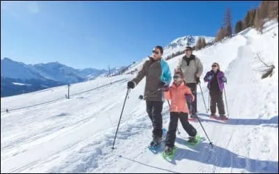 Les raquettes empêchent de caler dans la neige.