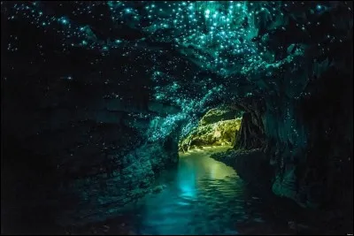 Où se situe la grotte aux vers-luisants de Waitomo ?