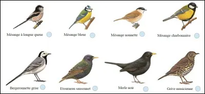 À la fin du film, Haru vole avec des...