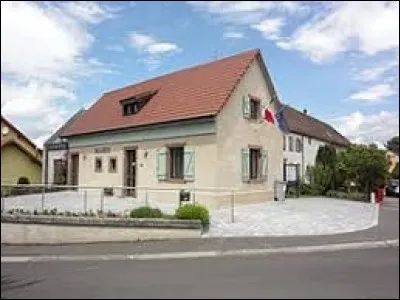 Nous terminons notre balade dans le Grand-Est, à Schneckenbush. Village du Pays de Sarrebourg, il se trouve dans le département ...