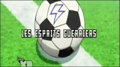 Quel est l'esprit guerrier de Riccardo ?