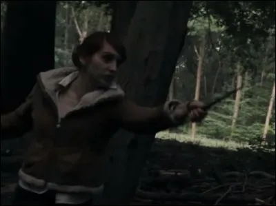 Comment s'appellent les personnes qui combattent le Maître de la Mort et deux de ses serviteurs dans la forêt ?