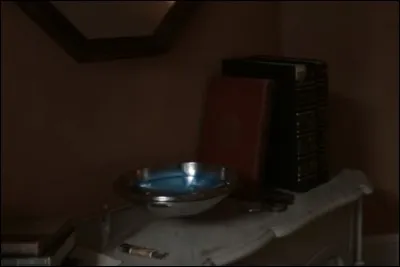 Comment s'appelle cet objet rond ressemblant à une assiette ?