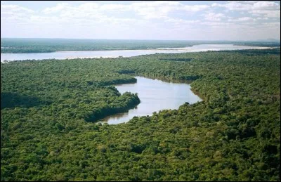 Où se trouvent les Tocantins ?
