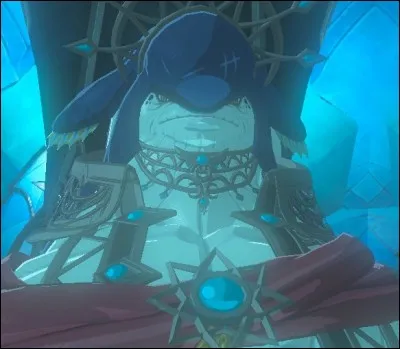 Quel est le nom du roi Zora ?