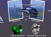 Quiz Gendarmerie de Martinique