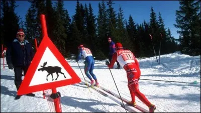 Quelle est la particularité des Jeux qui ont eu lieu à Lillehammer ?