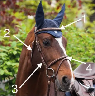 Quel est le nom de la partie n°4 ?