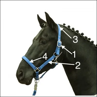 Quel est le nom de la partie n°3 ?