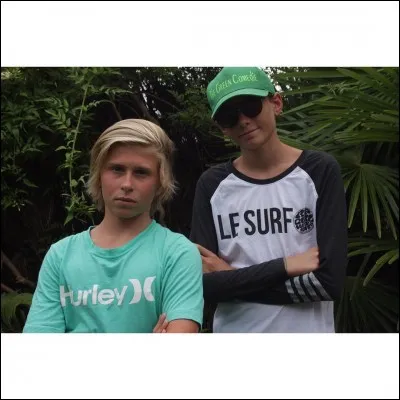 Lequel de ces YouTubeurs a présenté la chaîne "TheGreenComedie" ?