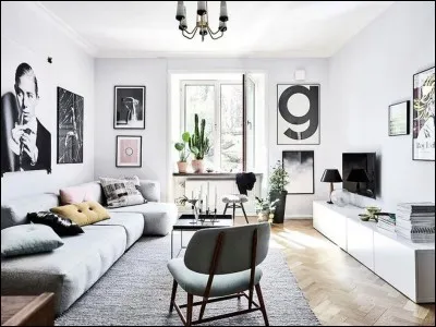 Dans le salon, il y a...