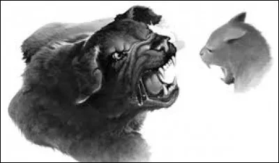 Qui a tué Nuage Agile ?