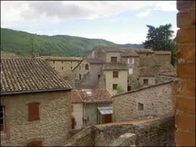 Commune d'Occitanie, dans l'arrondissement d'Alès, Meyrannes est une commune du département ...