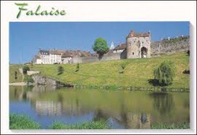 Comment appelle-t-on les habitants de Falaise (Calvados) ?