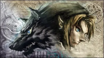 Comment s'appelle le personnage principal de ''Zelda Twilight Princess'' ?