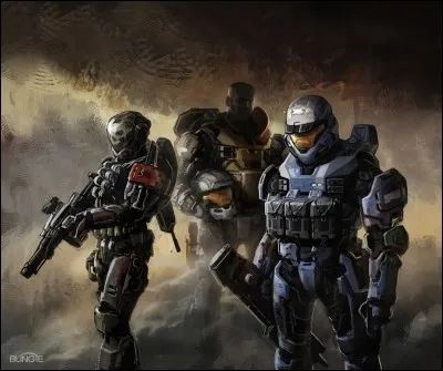 Si vous aviez le choix une fois votre armure équipée, garderiez-vous votre visage anonyme ?