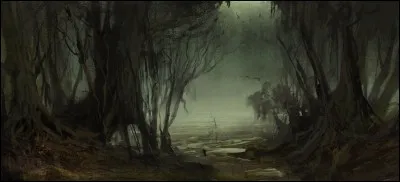 Dans le deuxième opus de la saga "Harry Potter", où se trouve la Chambre des Secrets ?