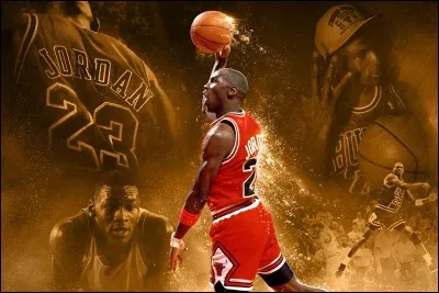 Qui est Michael Jordan ?
