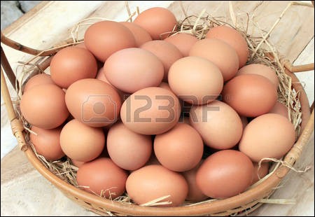 Quelle quantité d'œufs par an une poule pondeuse est-elle capable de pondre en moyenne ?