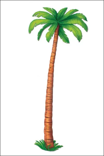 Qui a chanté "Ba moin en ti bo" ?