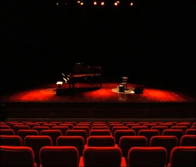 Qui a chanté "Dommage" ?