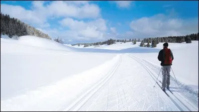 Que font ces personnes ?
