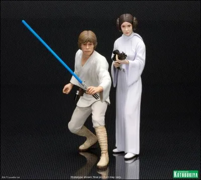 Leia et Luke sont ...