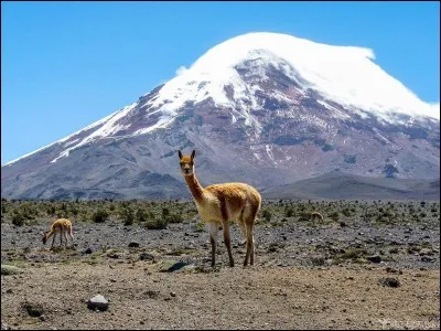 Quel est le point le plus &eacute;loign&eacute; du centre de la Terre ?