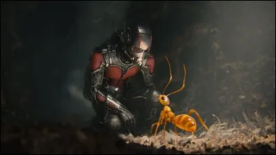 Question à part, pour les connaisseurs : 
Quelle est la véritable identité de Ant-Man ?