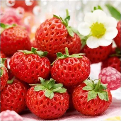 Il veut aussi planter des fraisiers. Les plants de fraisiers sont vendus par barquette de 6 plants chacune. Combien de barquettes doit-il acheter pour avoir 60 plants ?