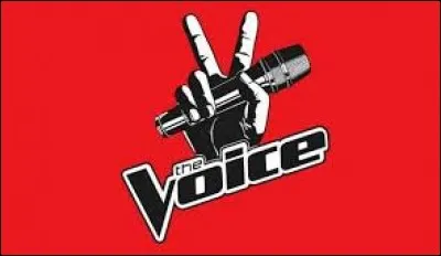 Lequel des artistes n'a jamais été jury dans l'émission "The Voice" ?